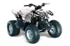 Polaris Predator 90 ATV Graphic Kit - 2002-2011 Diamond Flames White