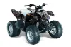 Polaris Predator 90 ATV Graphic Kit - 2002-2011 Silver Star - Reloaded White
