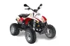 Polaris Trailblazer 350 ATV Graphic Kit - 1985-2009 Mandy White