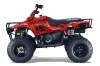 Polaris Trailboss 330 ATV Graphic Kit - 2004-2009 Digicamo Red