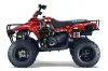 Polaris Trailboss 330 ATV Graphic Kit - 2004-2009 Reaper Red