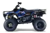 Polaris Trailboss 330 ATV Graphic Kit - 2004-2009 Tribal Flame Blue