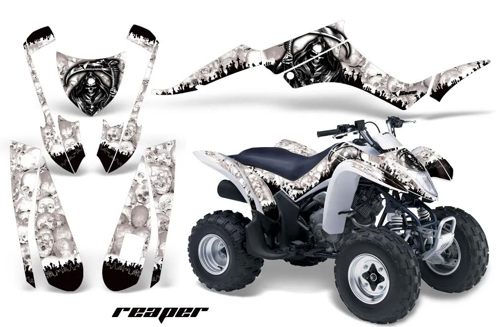 Suzuki LTZ 250 ATV Custom Graphic Kit - 2004-2011