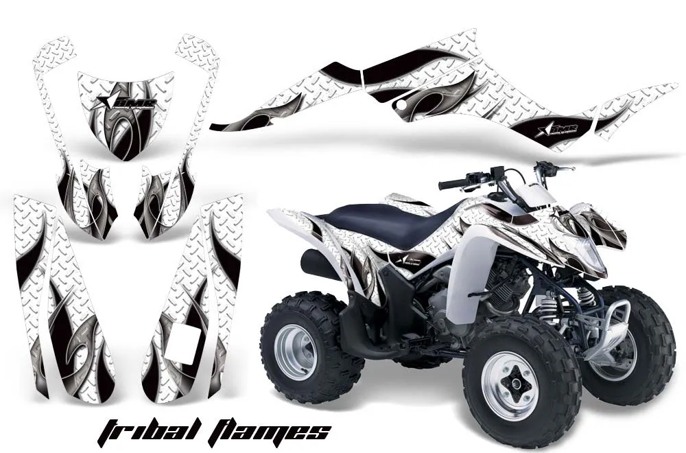 Suzuki LTZ 250 ATV Custom Graphic Kit - 2004-2011
