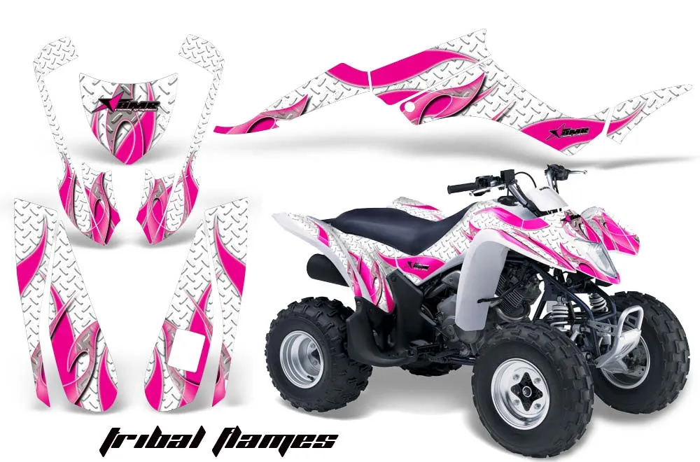 Suzuki LTZ 250 ATV Custom Graphic Kit - 2004-2011