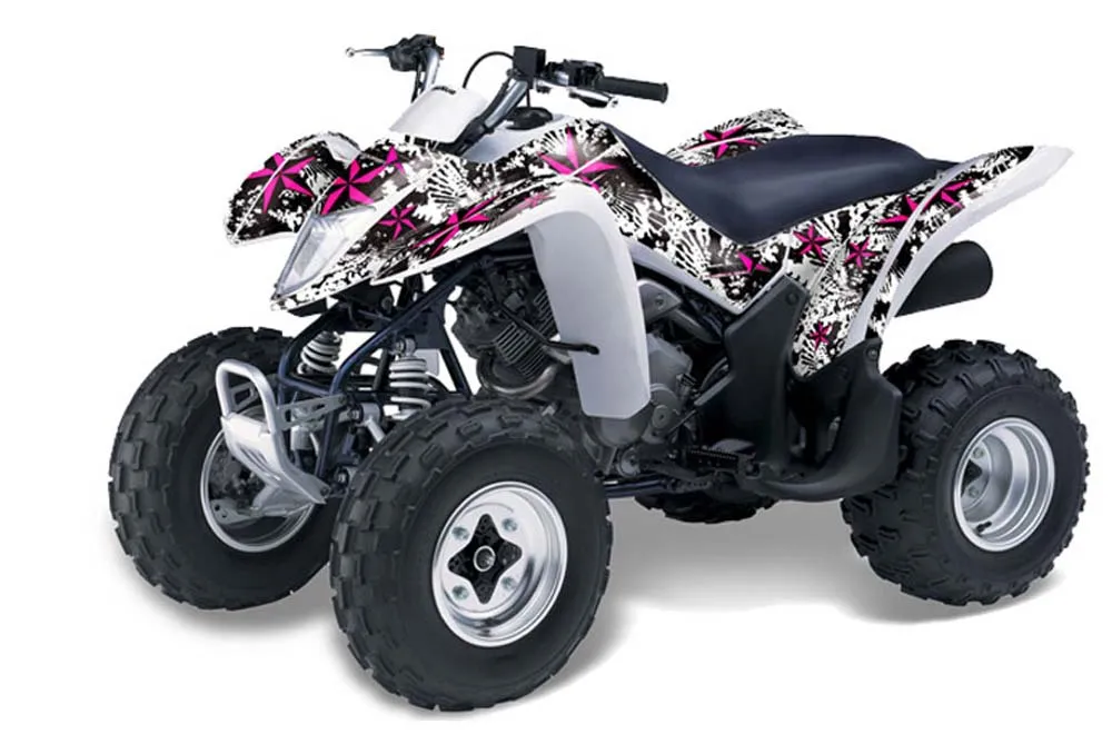 Suzuki LTZ 250 ATV Graphic Kit - 2004-2011 Northstar Pink
