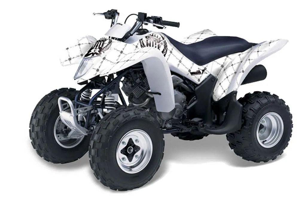 Suzuki LTZ 250 ATV Graphic Kit - 2004-2011 Silver Star - Reloaded White