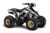 Suzuki LT 230/R ATV Graphic Kit - All Years Mad Hatter White