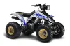 Suzuki LT 230/R ATV Graphic Kit - All Years Tribal Flames Blue