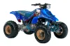 Suzuki LT 250 / 250 R ATV Graphic Kit - 1985-1992 Bone Collector Blue