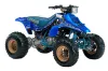 Suzuki LT 250 / 250 R ATV Graphic Kit - 1985-1992 Reaper Blue