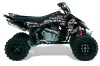 Suzuki LTR 450 ATV Graphic Kit - 2006-2009 Silver Star - Silverhaze White