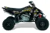 Suzuki LTR 450 ATV Graphic Kit - 2006-2009 Silver Star - Silverhaze Yellow