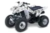 Suzuki LTZ 250 ATV Graphic Kit - 2004-2011 Blossoms Butterfly White