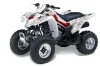 Suzuki LTZ 250 ATV Graphic Kit - 2004-2011 Bone Collector White