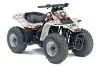 Suzuki QuadSport LT 80 ATV Graphic Kit - 1987-2006 Bone Collector White