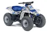 Suzuki QuadSport LT 80 ATV Graphic Kit - 1987-2006 Butterfly Blue