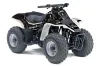 Suzuki QuadSport LT 80 ATV Graphic Kit - 1987-2006 Reaper Black