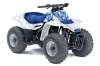 Suzuki QuadSport LT 80 ATV Graphic Kit - 1987-2006 Silver Star - Reloaded Blue
