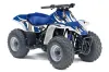 Suzuki QuadSport LT 80 ATV Graphic Kit - 1987-2006 Tribal Flames White