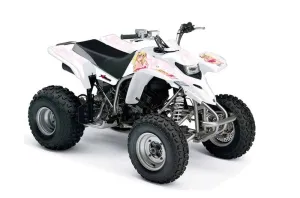 Yamaha Blaster YFS200 ATV Graphic Kit - 1988-2001 Mandy Pink