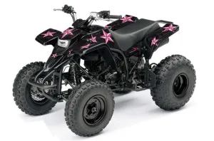 Yamaha Blaster YFS200 ATV Graphic Kit - 1988-2001 Northstar Pink