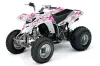 Yamaha Blaster YFS200 ATV Graphic Kit - 1988-2001 Butterfly Pink