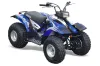Yamaha Breeze 125 ATV Graphic Kit - 1989-2007 Carbon X Blue