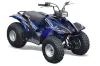 Yamaha Breeze 125 ATV Graphic Kit - 1989-2007 In Line Blue