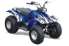Yamaha Breeze 125 ATV Graphic Kit - 1989-2007 Tribal Flame Blue