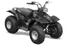 Yamaha Breeze 125 ATV Graphic Kit - 1989-2007 Widow Maker Black