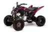 Yamaha Raptor 125 ATV Graphic Kit - 2011-2014 In Line Pink
