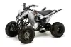Yamaha Raptor 125 ATV Graphic Kit - 2011-2014 Mad Hatter Silver