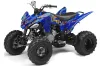 Yamaha Raptor 250 ATV Graphic Kit - 2008-2014 Ed Hardy - Love Kills Blue