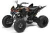 Yamaha Raptor 250 ATV Graphic Kit - 2008-2014 Ed Hardy - Pirates Black
