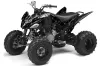 Yamaha Raptor 250 ATV Graphic Kit - 2008-2014 Silver Star - Reloaded White