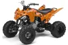 Yamaha Raptor 250 ATV Graphic Kit - 2008-2014 Silver Star - Silverhaze Orange