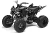Yamaha Raptor 250 ATV Graphic Kit - 2008-2014 Silver Star - Silverhaze Silver