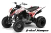 Yamaha Raptor 350 ATV Graphic Kit - 2004-2014 Tribal Flames Red