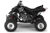 Yamaha Raptor 660 ATV Graphic Kit - 2001-2005 Silver Star - Reloaded Silver