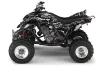 Yamaha Raptor 660 ATV Graphic Kit - 2001-2005 Silver Star - Silverhaze Black