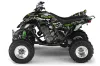 Yamaha Raptor 660 ATV Graphic Kit - 2001-2005 Silver Star - Silverhaze Green