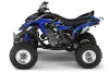 Yamaha Raptor 660 ATV Graphic Kit - 2001-2005 Tribal Flames Blue