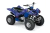 Yamaha Raptor 80 ATV Graphic Kit - 2003-2016 Bone Collector Blue