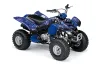 Yamaha Raptor 80 ATV Graphic Kit - 2003-2016 Reaper Blue