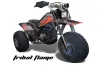 Yamaha Shaft DX 225 - 3 Wheeler ATV Graphic Kit - 1983-1985 Tribal Flame Red