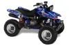 Yamaha Warrior 350 ATV Graphic Kit - All Years Bone Collector Blue
