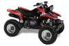 Yamaha Warrior 350 ATV Graphic Kit - All Years Diamond Race Red