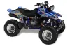Yamaha Warrior 350 ATV Graphic Kit - All Years Ed Hardy - Love Kills Blue