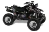Yamaha Warrior 350 ATV Graphic Kit - All Years Mad Hatter Silver